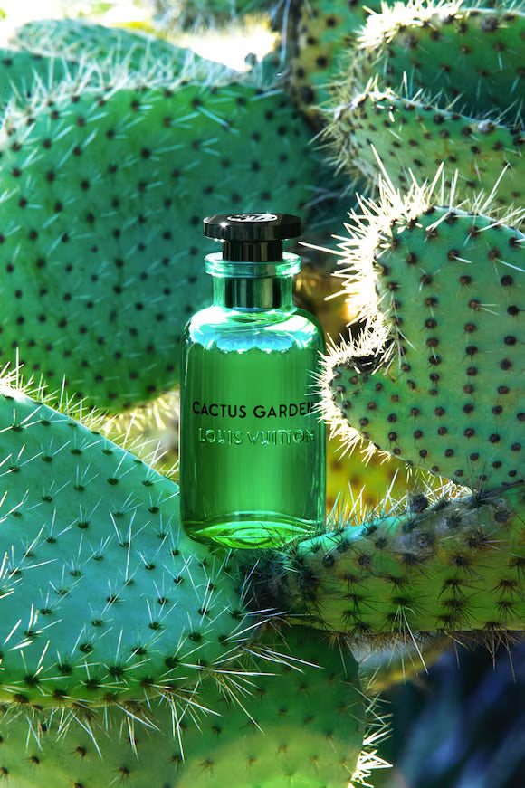 Louis Vuitton Cactus Garden