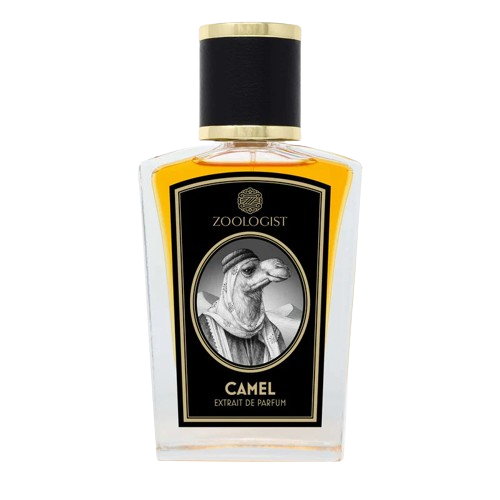 Zoologist Camel