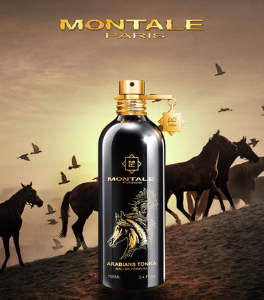 Montale Arabians Tonka